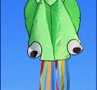 Large Octopus Kite