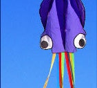 Large Octopus Kite