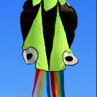 Large Octopus Kite